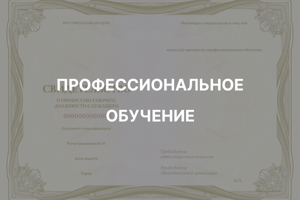 Профессиональное обучение Гильдия строителей ижс